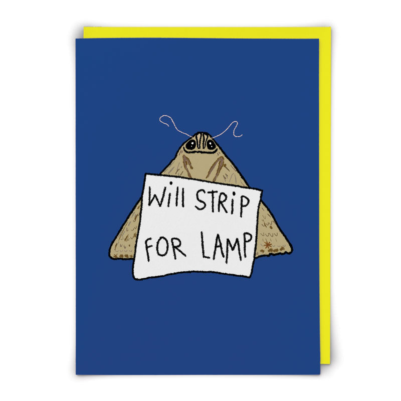 Strip For Lamp